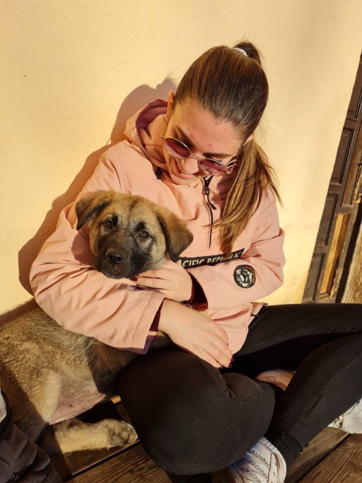 Dora, pet sitter in Amsterdam, photo 1