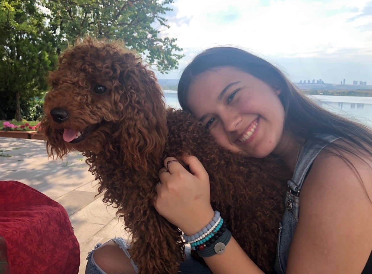 Ayse Ece, pet sitter in Rotterdam, photo 1