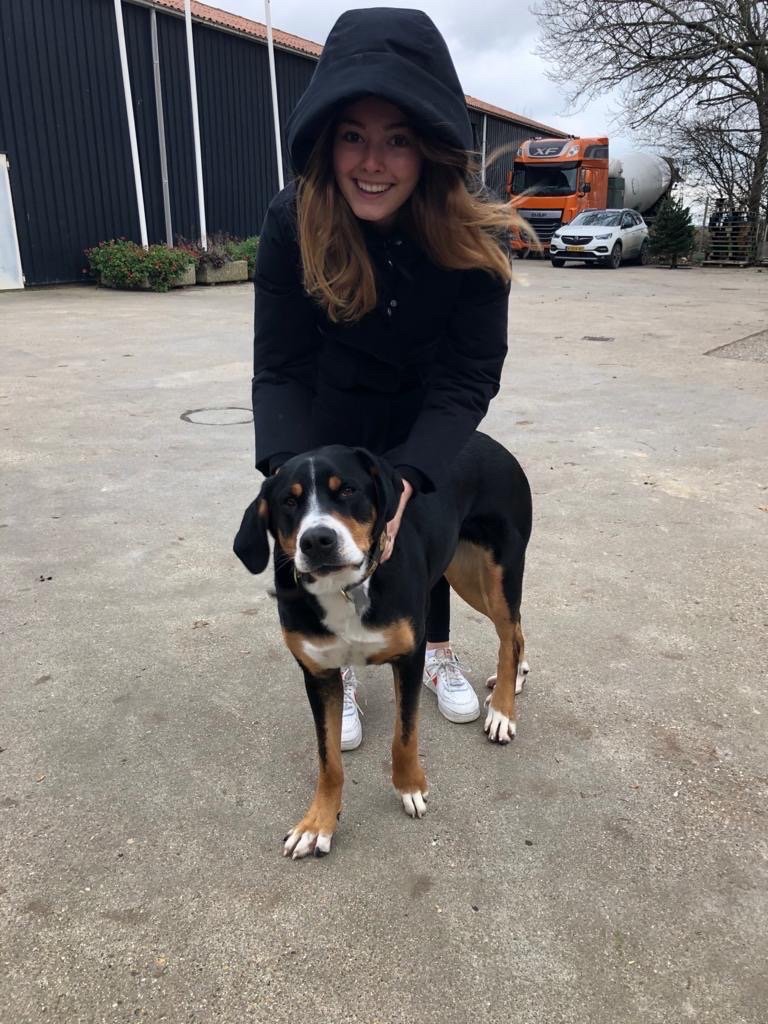 Freya, pet sitter in Amsterdam, photo 2