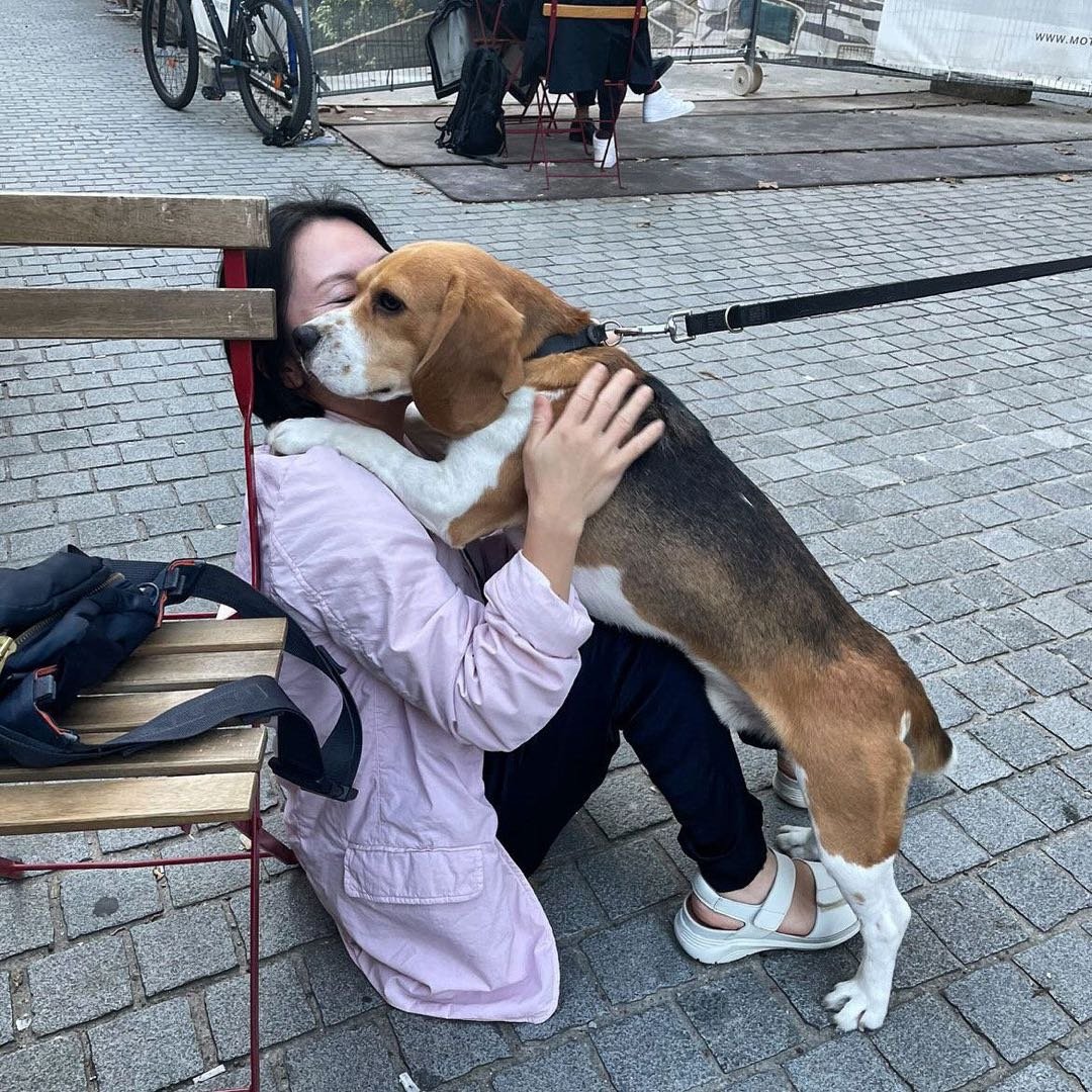 Asako, pet sitter in Delft, photo 5