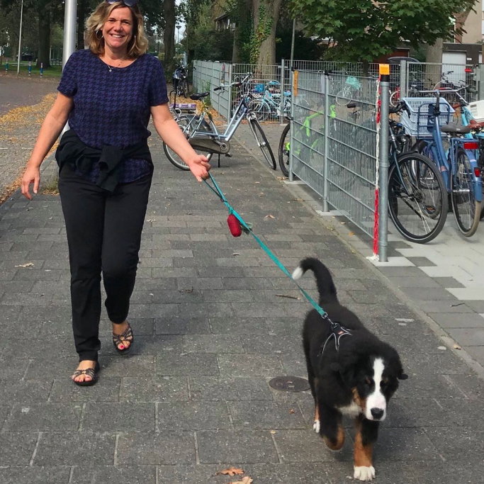 Elwina, pet sitter in Voorschoten, photo 2