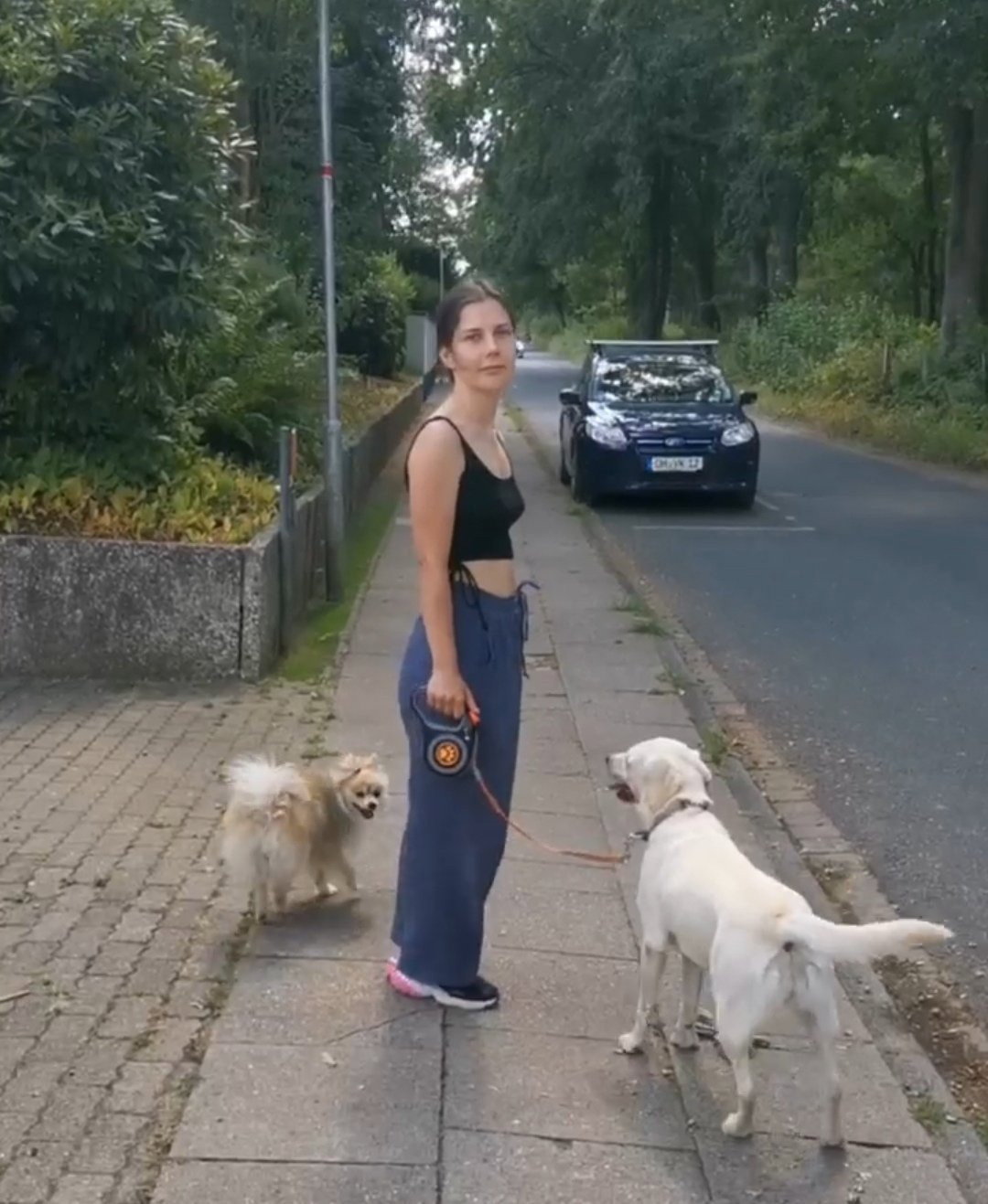 Alina, pet sitter in Rotterdam, photo 2