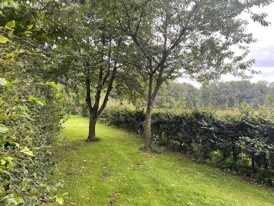 yvonne, pet sitter in Broekhuizen, photo 5