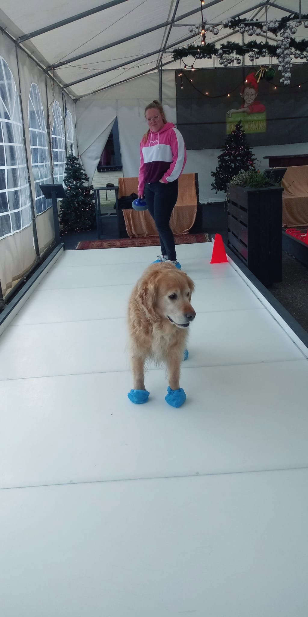 Girte, pet sitter in Oss, photo 1