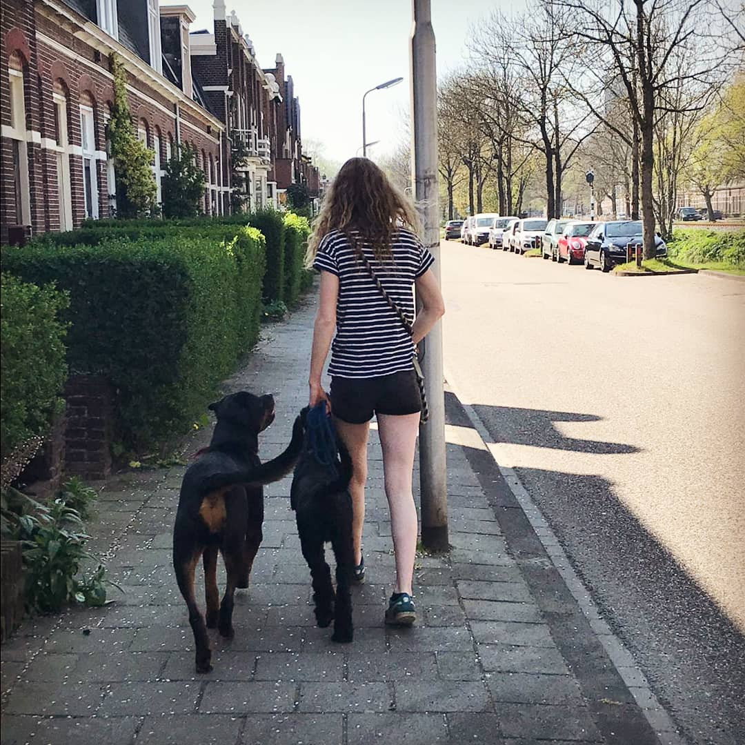 Morgan-Mae, pet sitter in Leeuwarden, photo 1