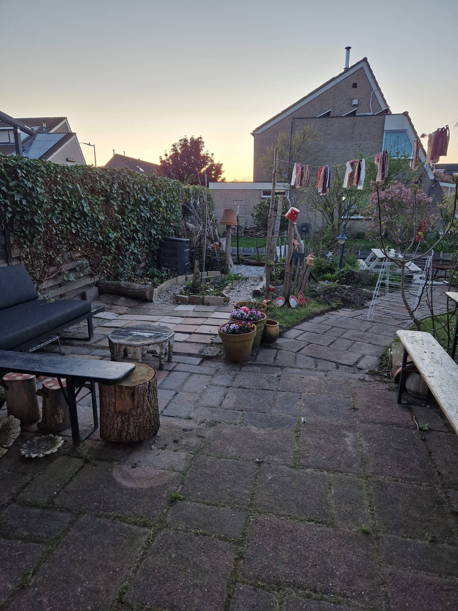 Ellen, dierenoppas in Lisserbroek, foto 3