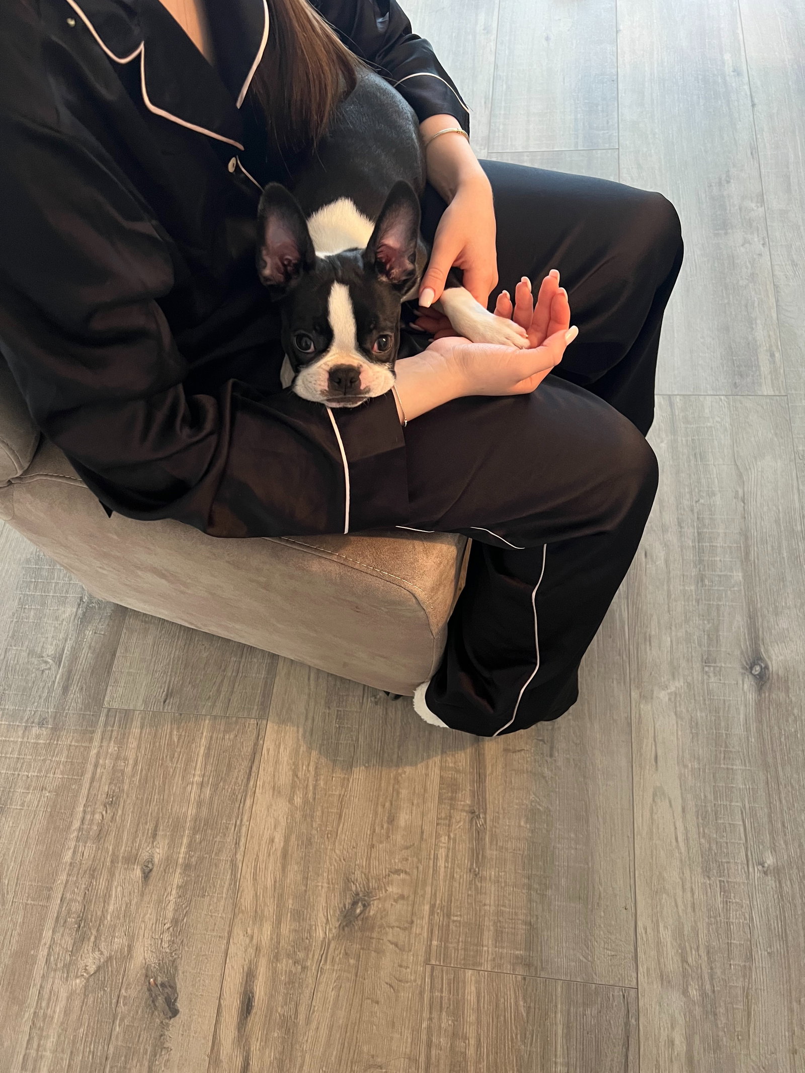 Sofia, pet sitter in Amstelveen, photo 5