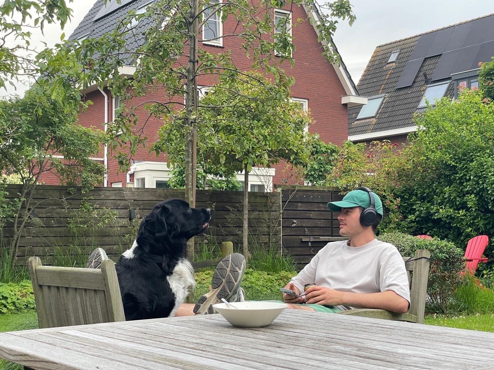 Naut, pet sitter in Houten, photo 2