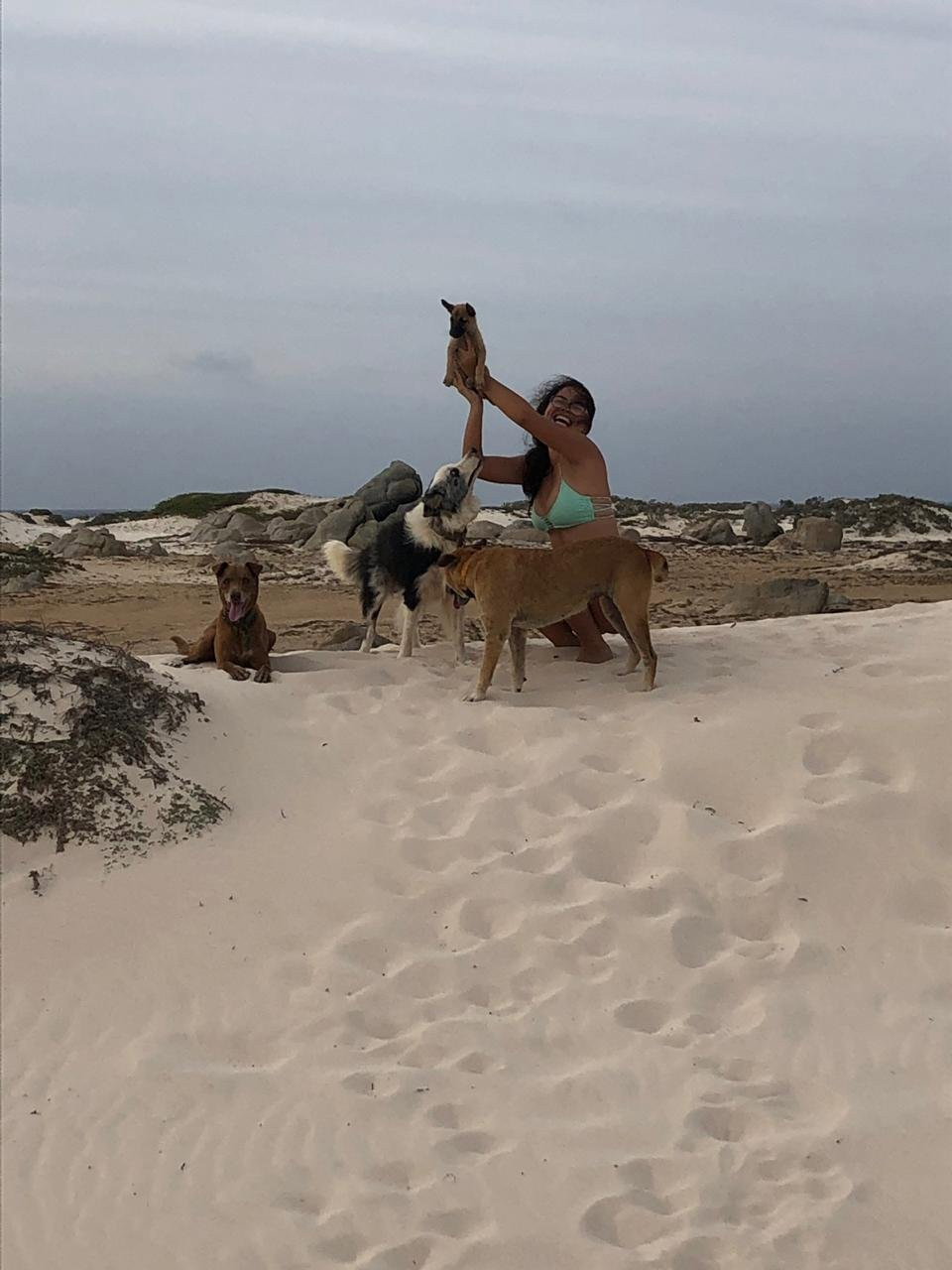 Naomi, pet sitter in Amsterdam, photo 2