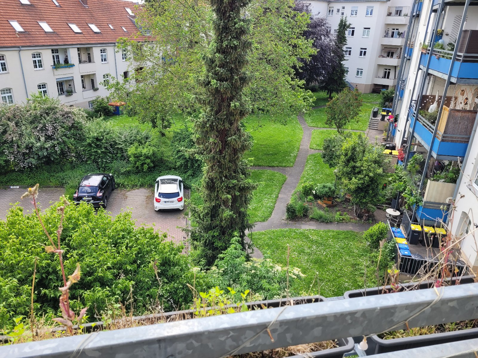 Simon, Tiersitter in Köln, Foto 1