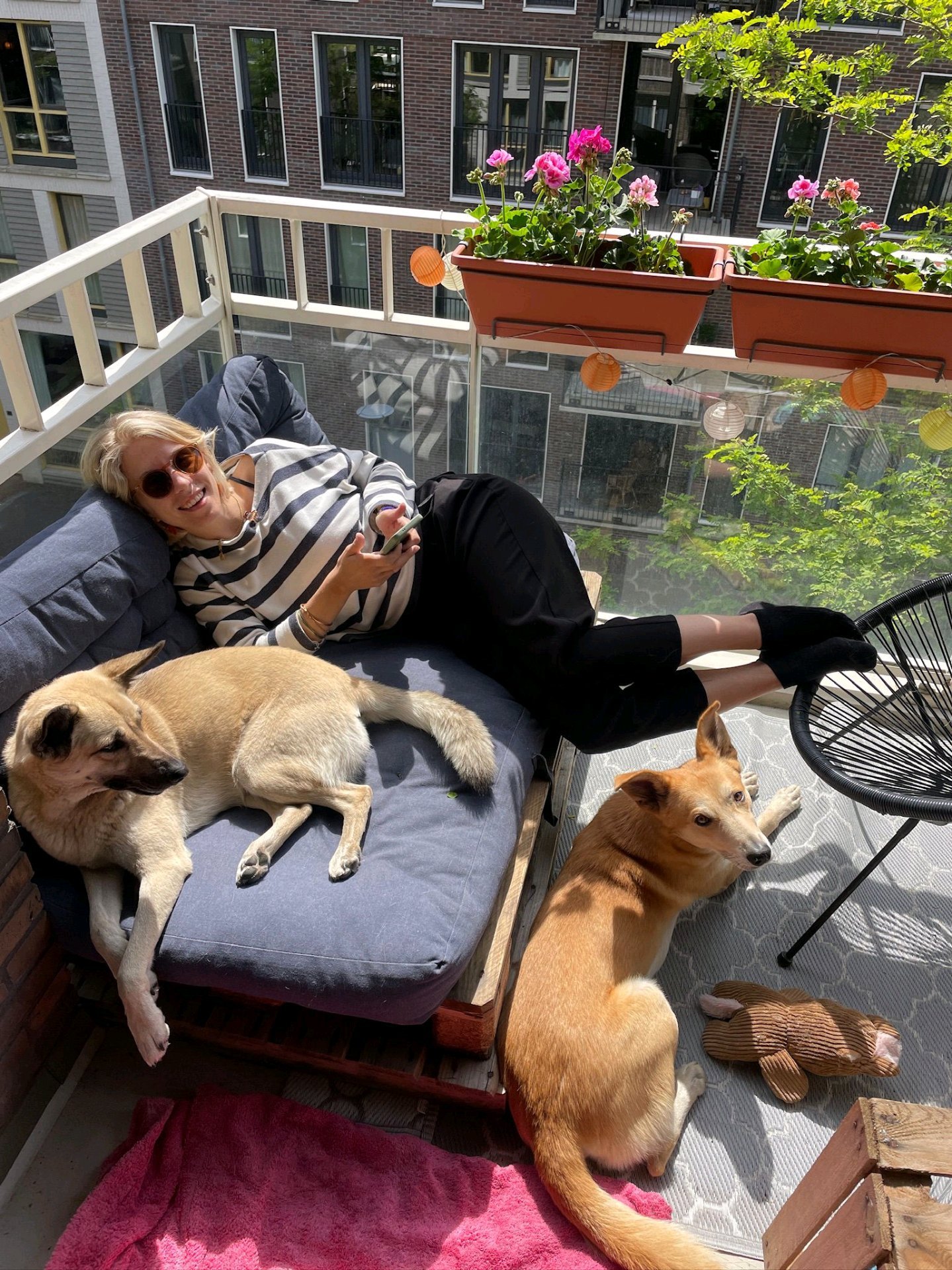 Nanouk, pet sitter in Weesp, photo 3