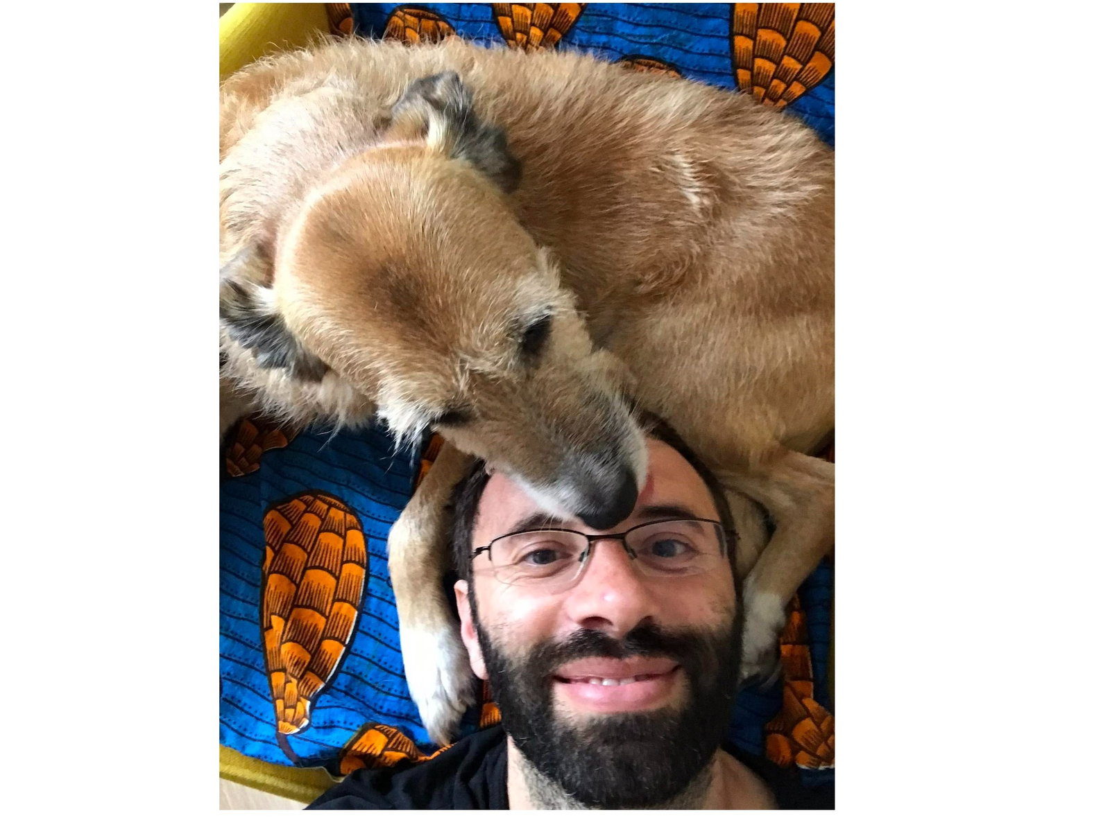 Pedro and Gi, pet sitter in Amsterdam, photo 4