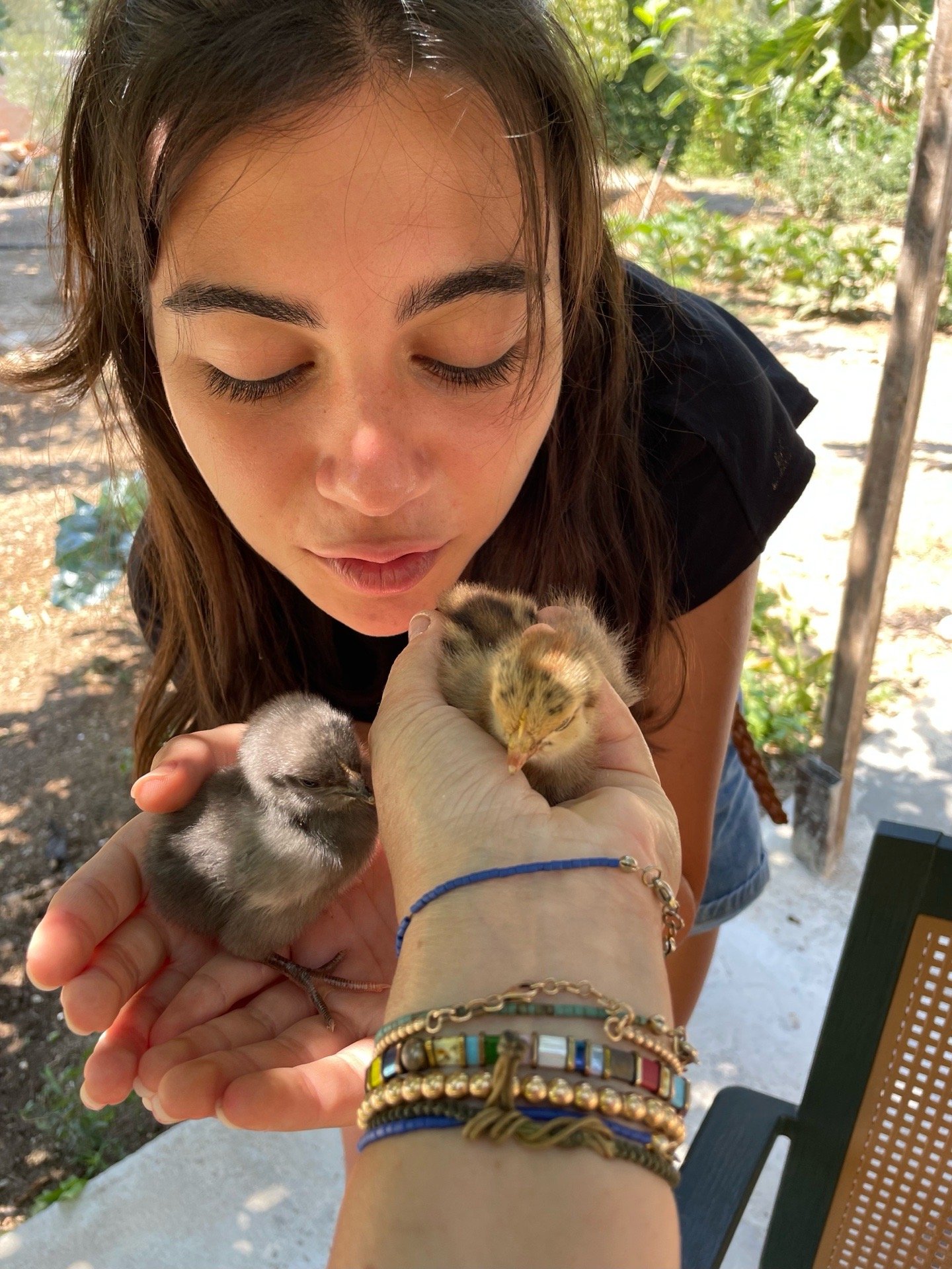 Nise, pet sitter in Amsterdam, photo 2