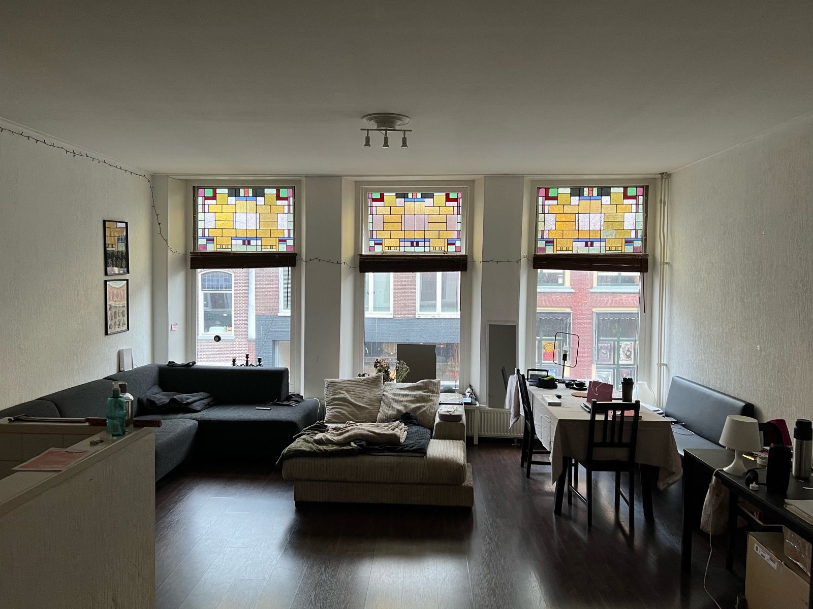 Antonio, dierenoppas in Den Haag, foto 4