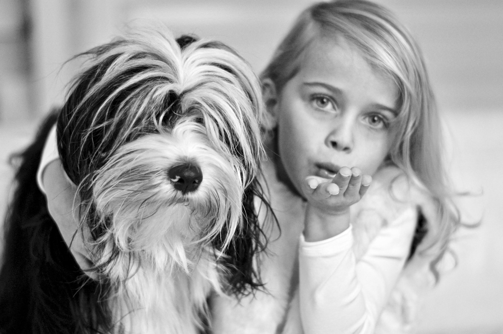 Sylviane, pet sitter in Varsenare, photo 1