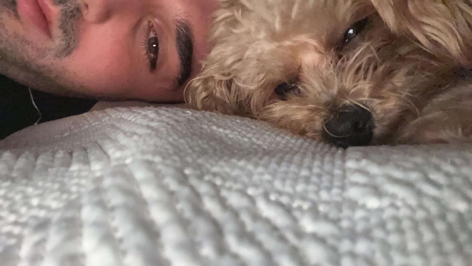 Cem, pet sitter in Amsterdam, photo 2