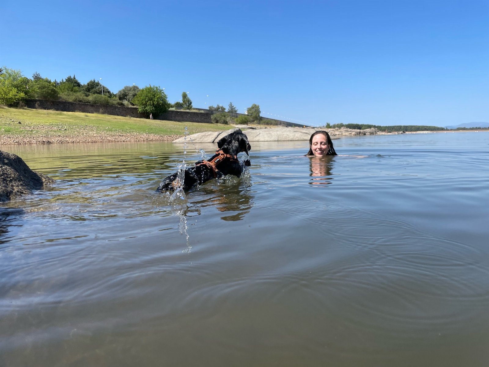 Raquel, pet sitter in Eindhoven, photo 2