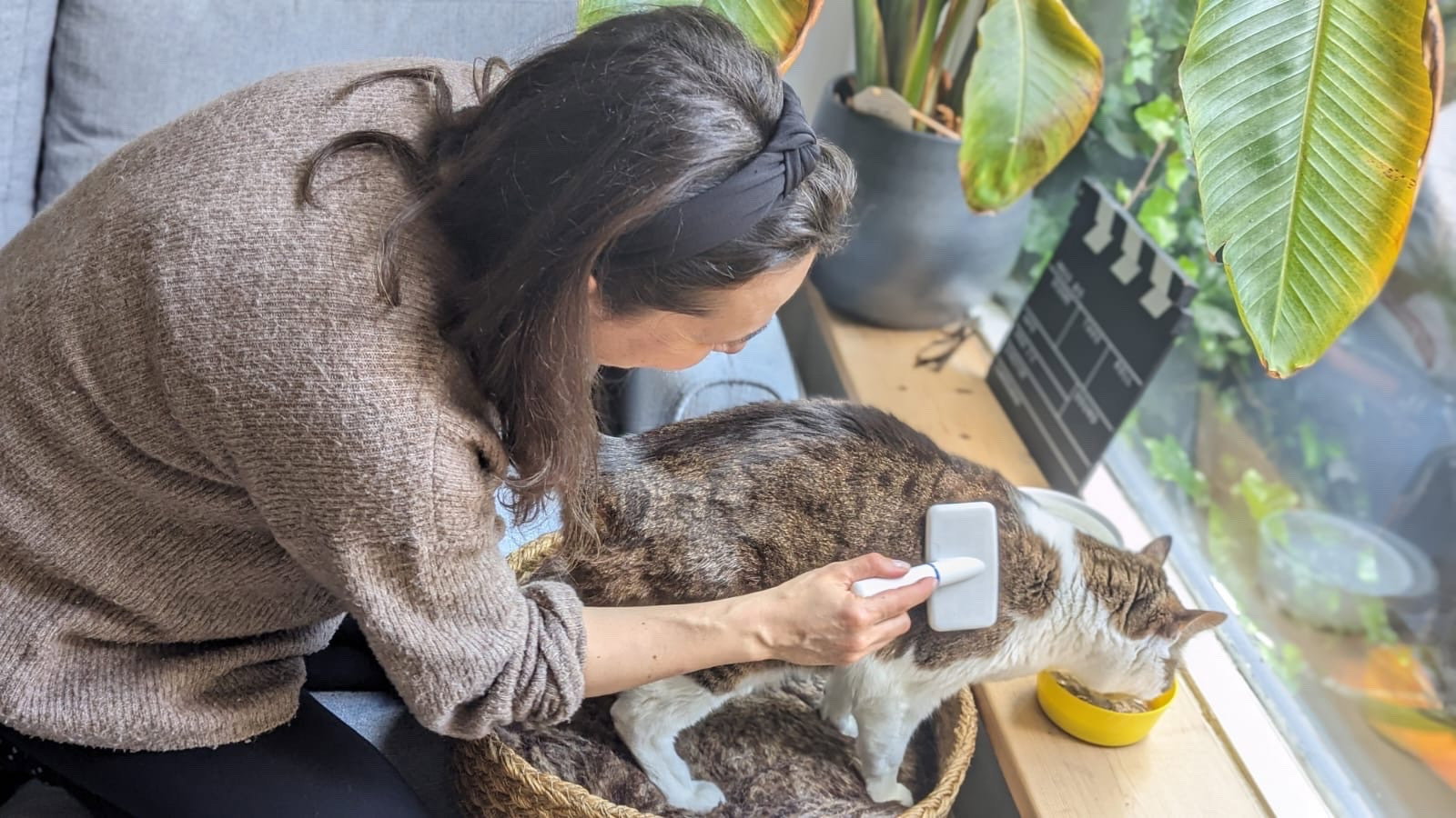 Mireia, pet sitter in Duivendrecht, photo 2