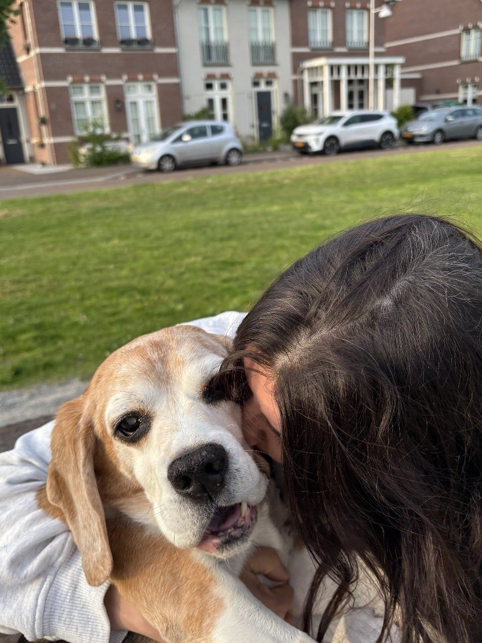 Giuliana, dierenoppas in Weesp, foto 2