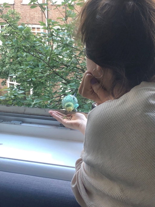 Laura, pet sitter in Amsterdam, photo 3