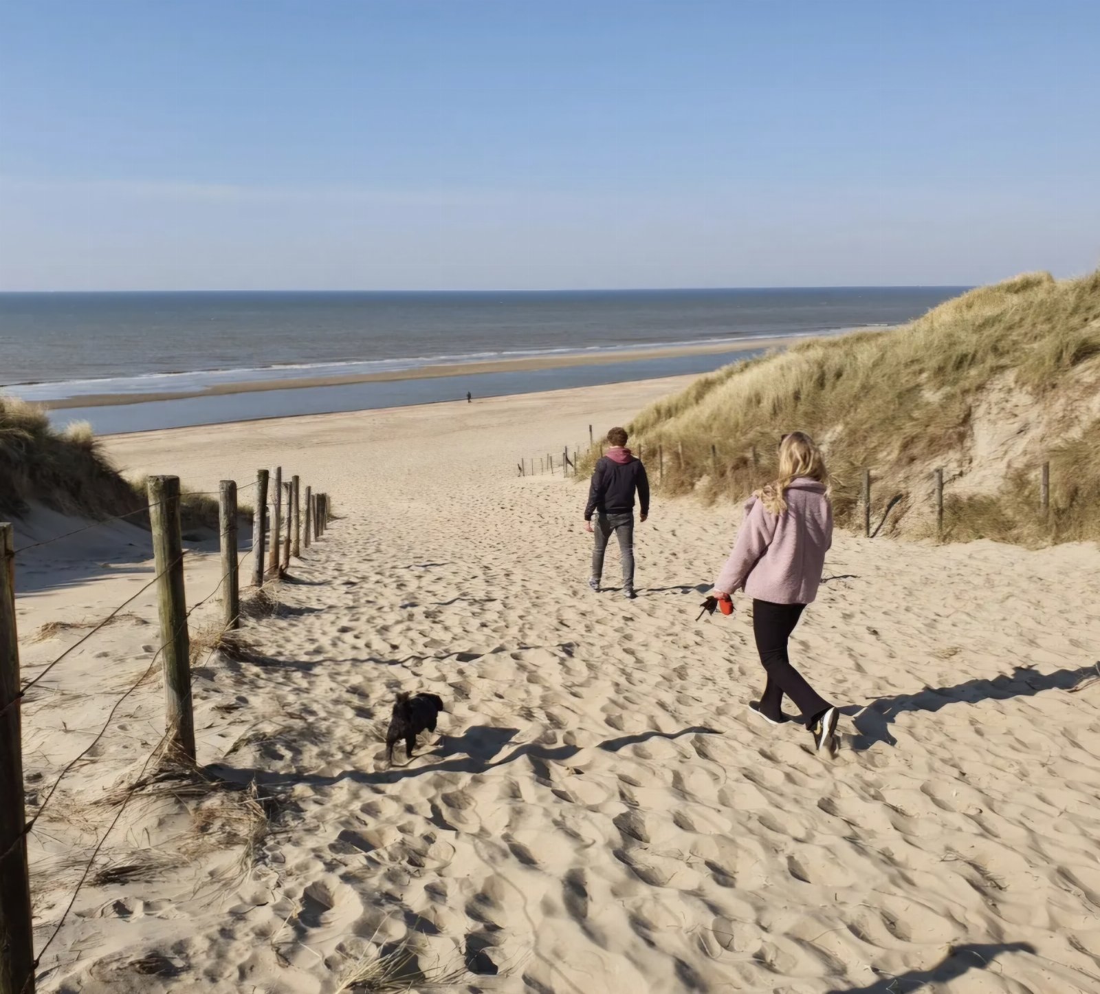 Elaine, pet sitter in Amsterdam, photo 1