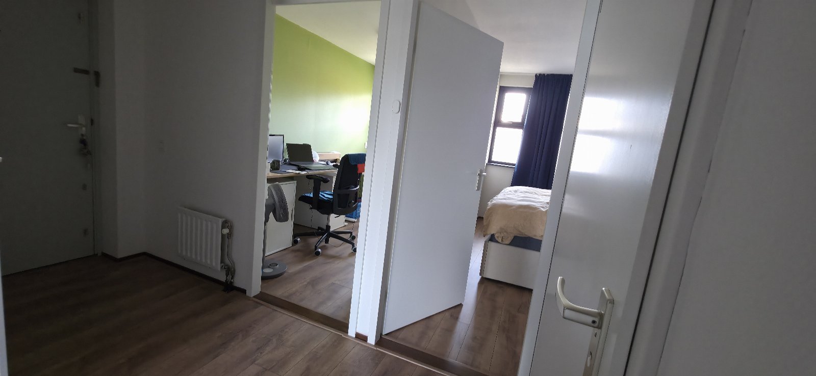 Sabine, dierenoppas in Zoetermeer, foto 3