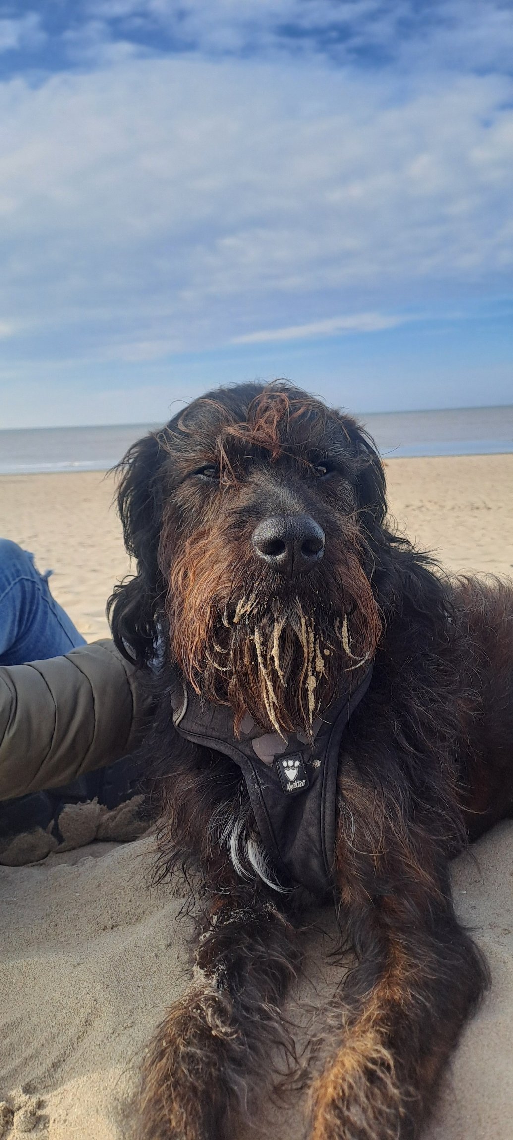 Sandra, pet sitter in Nijkerk, photo 1
