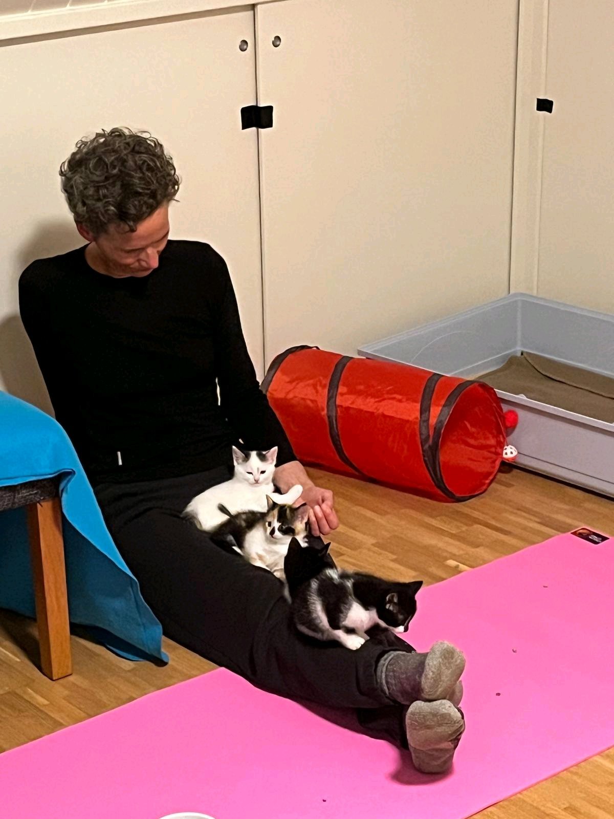 Aukje, dierenoppas in Helmond, foto 5
