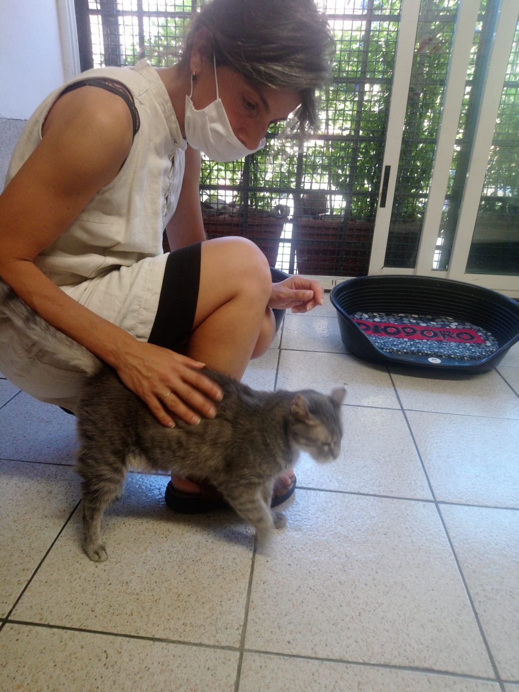 Daniela, pet sitter in Alkmaar, photo 1