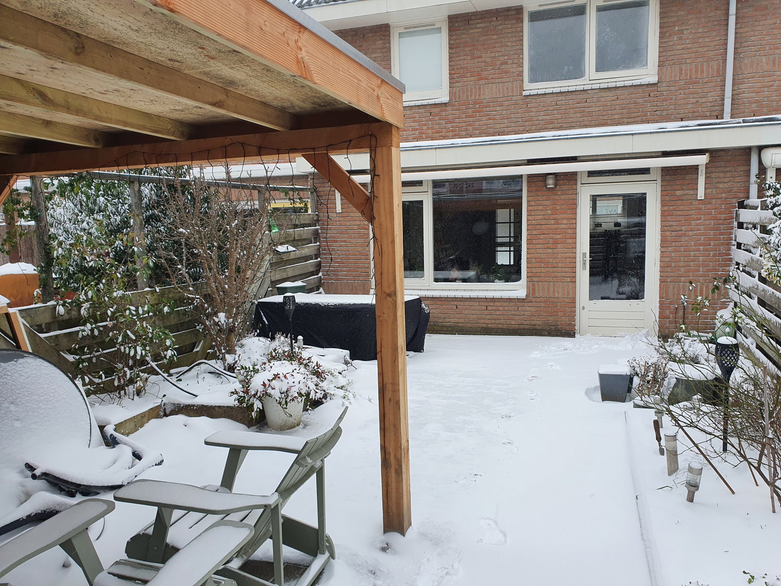 Bram, dierenoppas in Alphen aan den Rijn, foto 2