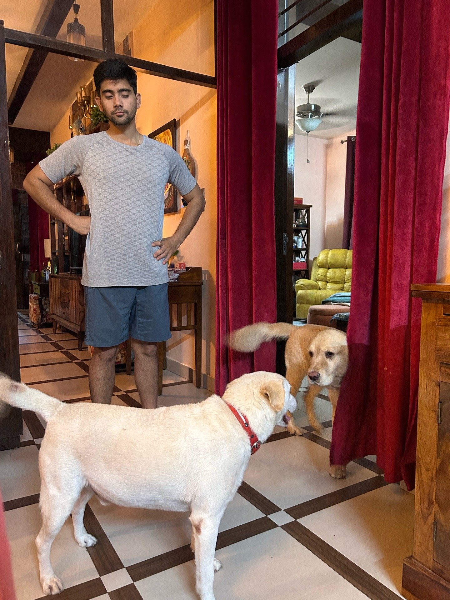 Pragya and Shashvat, pet sitter in Delft, photo 3