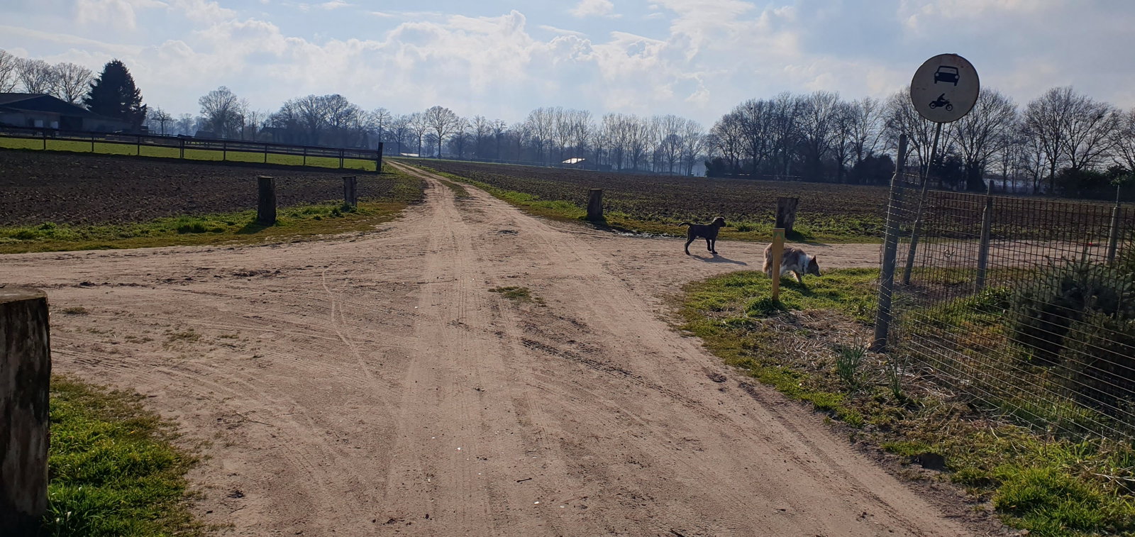 Joyce, pet sitter in Aarle-Rixtel, photo 4