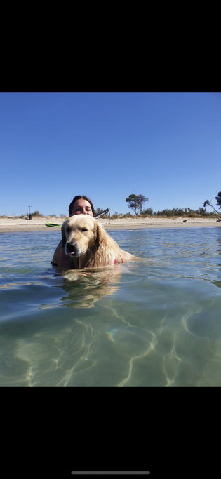 Agnese, pet sitter in 's-Gravenhage, photo 3