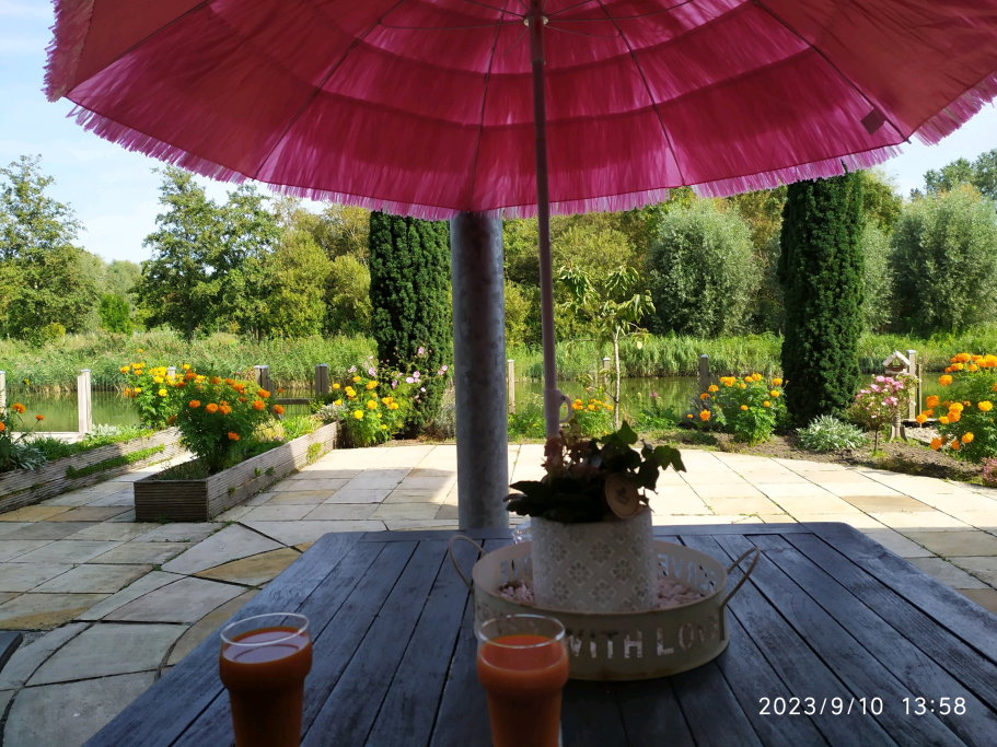 Petra, pet sitter in Enkhuizen, photo 4