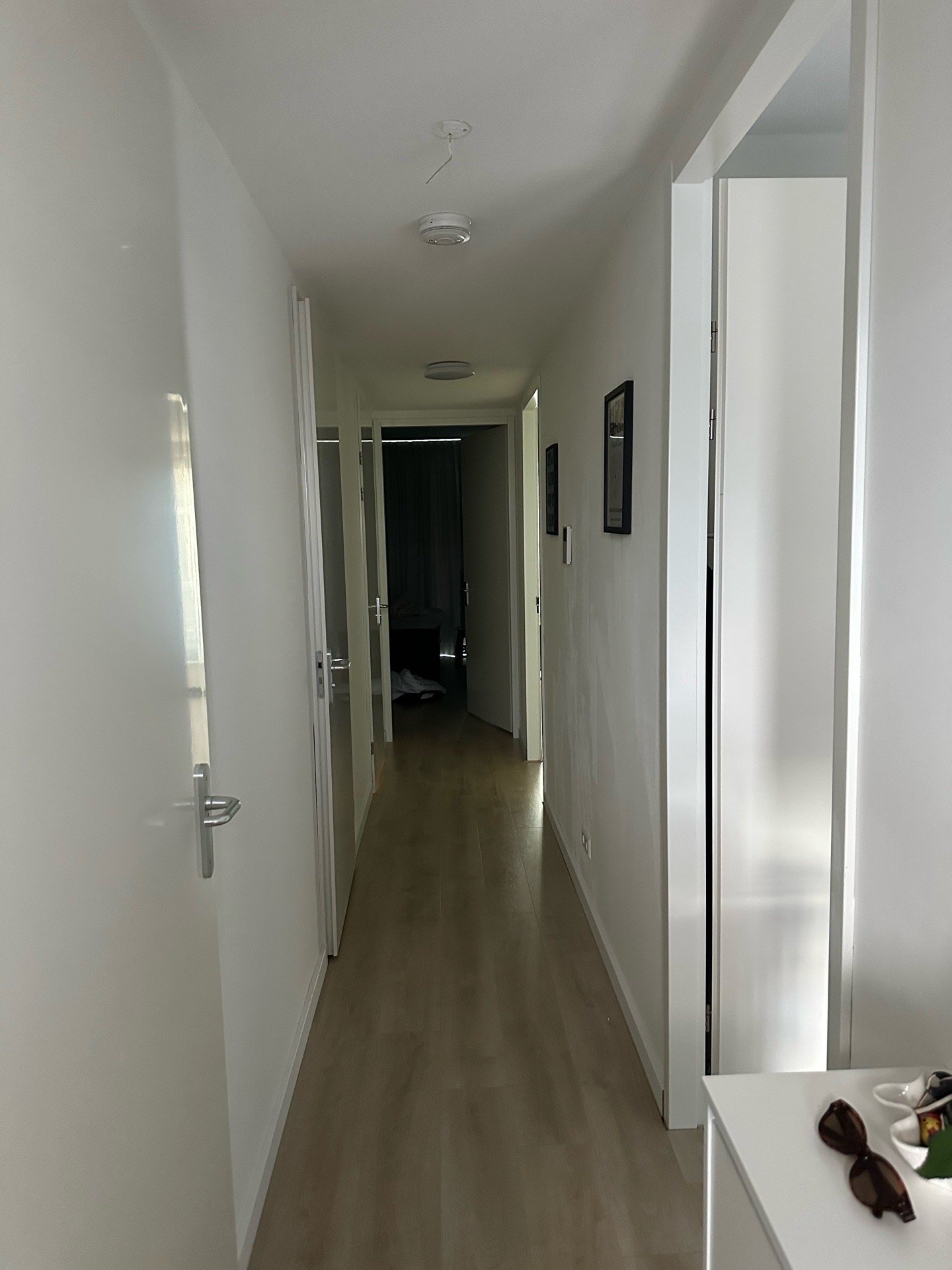 Ronan, dierenoppas in Den Haag, foto 3