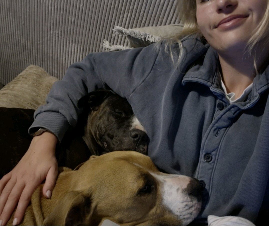 Jordan, pet sitter in Veldhoven, photo 2