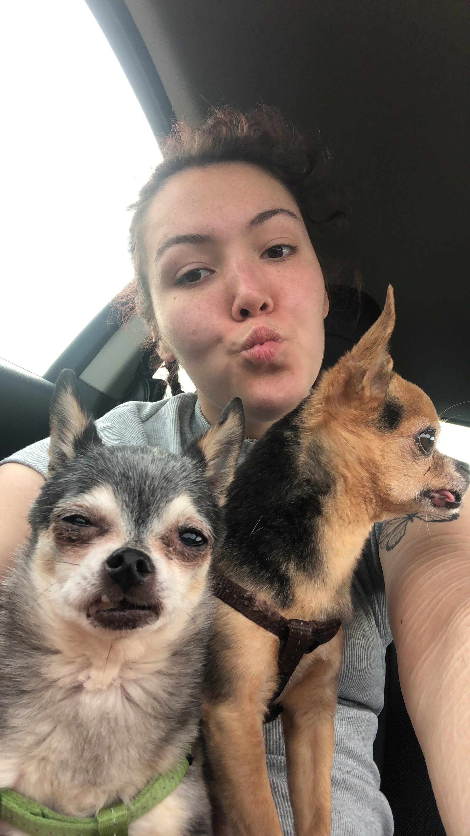 Lesley, pet sitter in Alphen aan den Rijn, photo 3