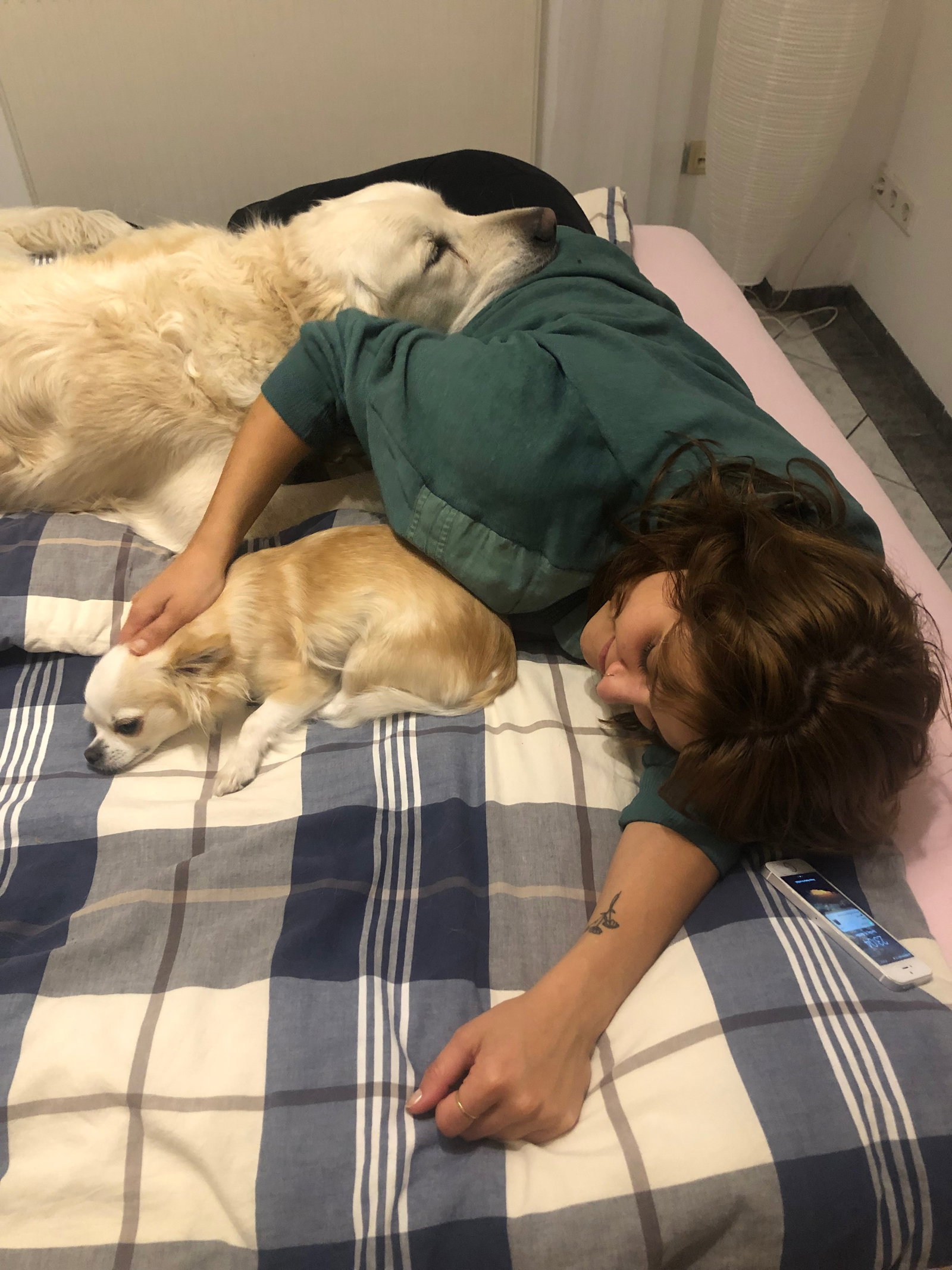 Gina, Tiersitter in Berlin, Foto 1