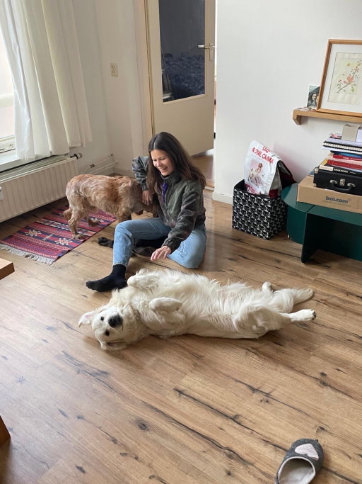 Lidija, pet sitter in 's-Gravenhage, photo 5