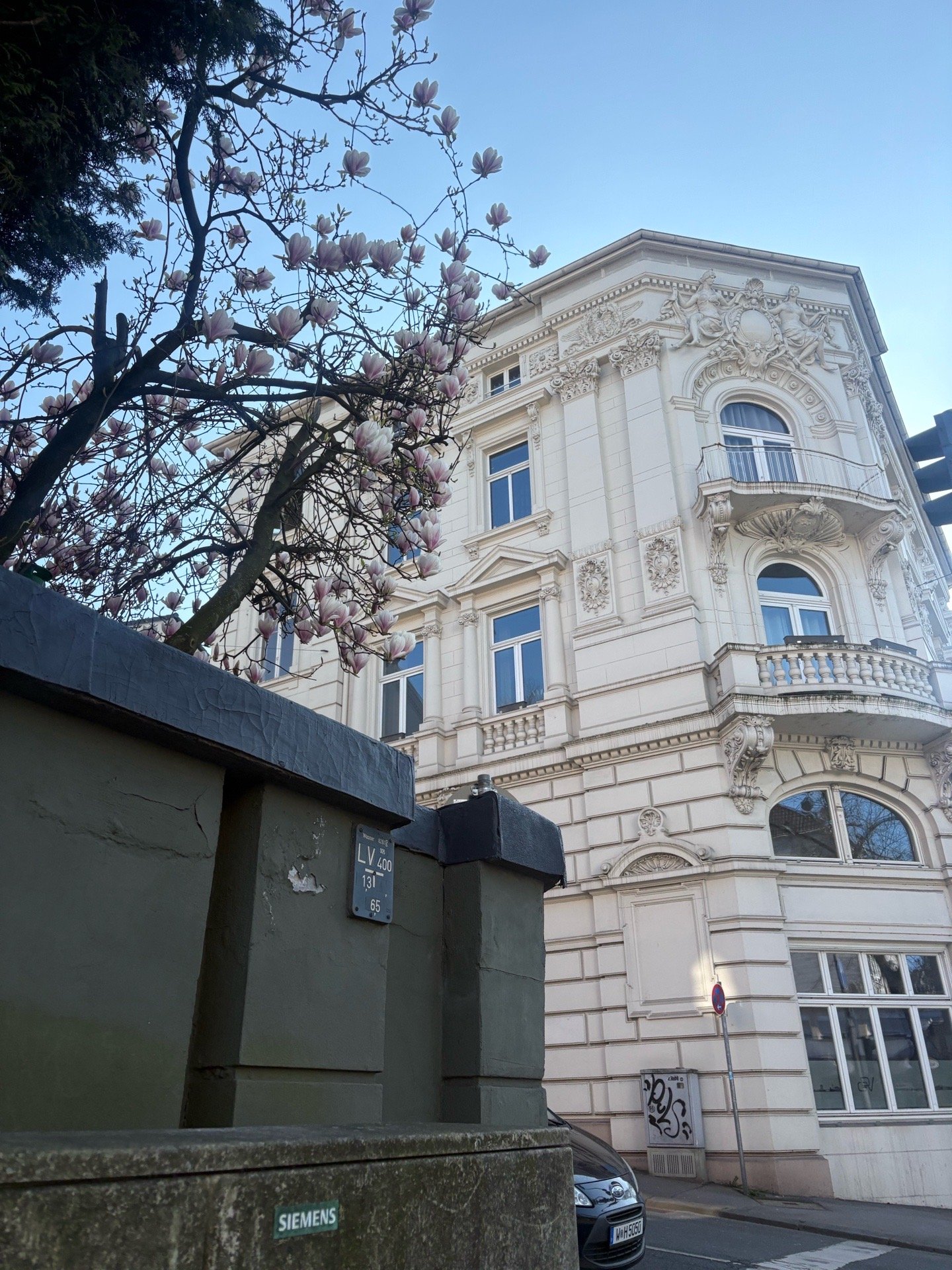Helin, Tiersitter in Wuppertal, Foto 2