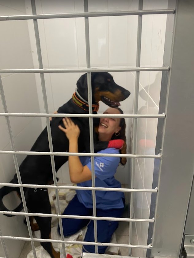 Ariane, pet sitter in Altlußheim, photo 1