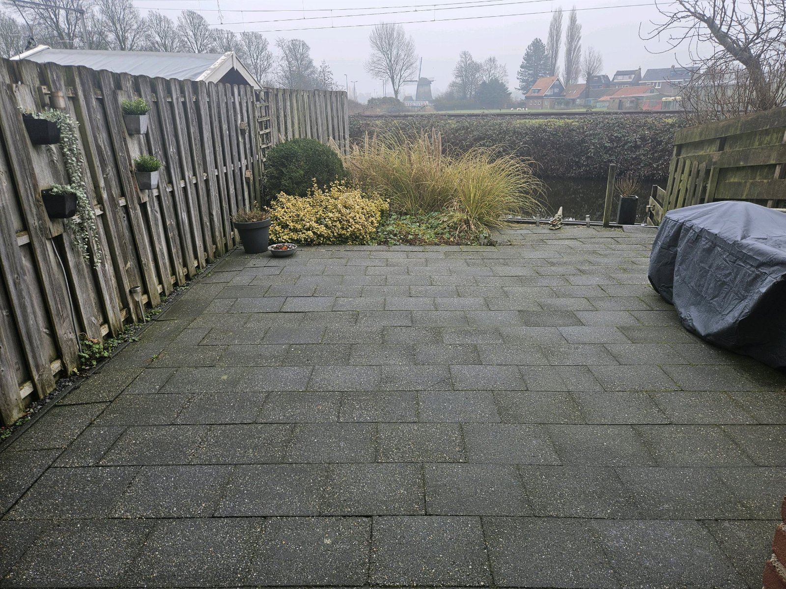 Sanne, pet sitter in Alkmaar, photo 5