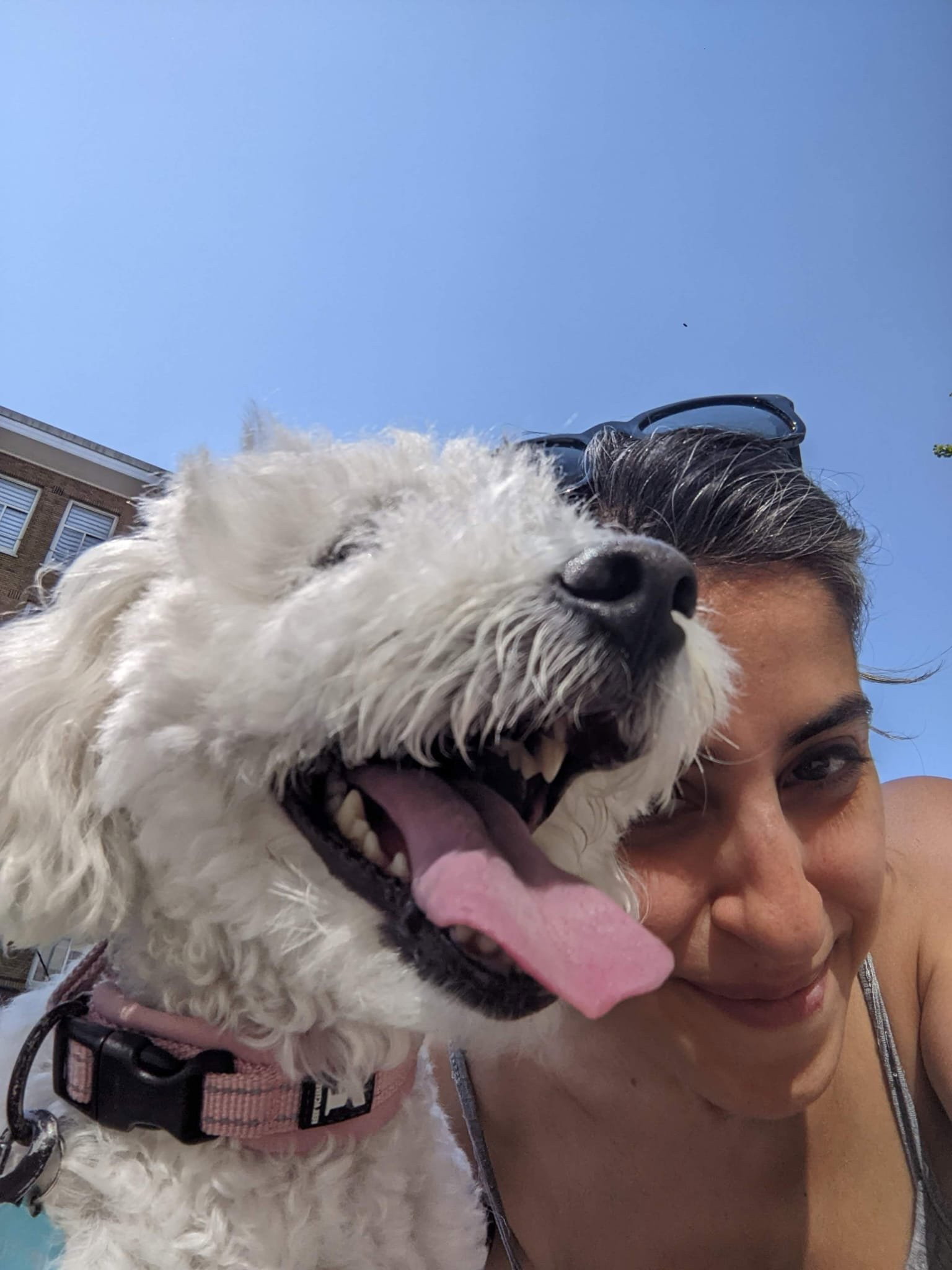 Parinaz, pet sitter in Amsterdam, photo 5