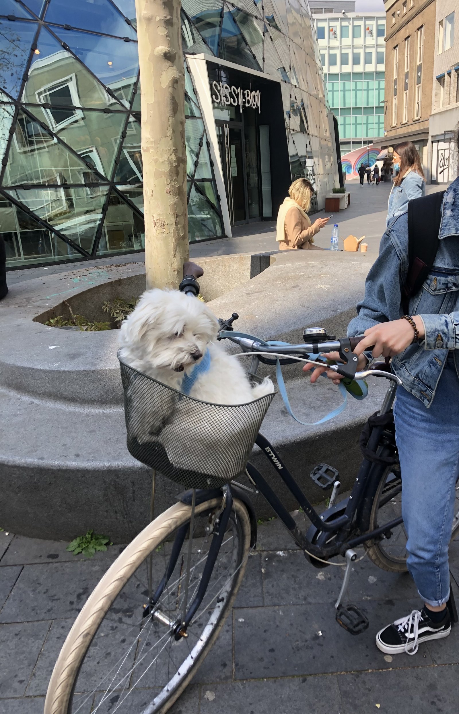 Patrīcija, pet sitter in Amsterdam, photo 2