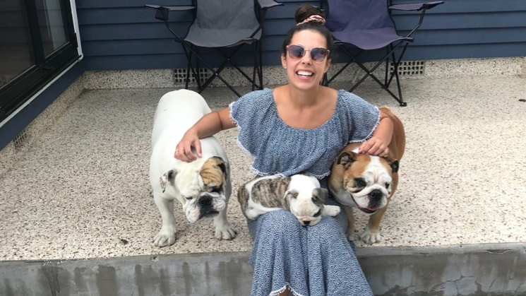 sydney, pet sitter in Zwijndrecht, photo 2