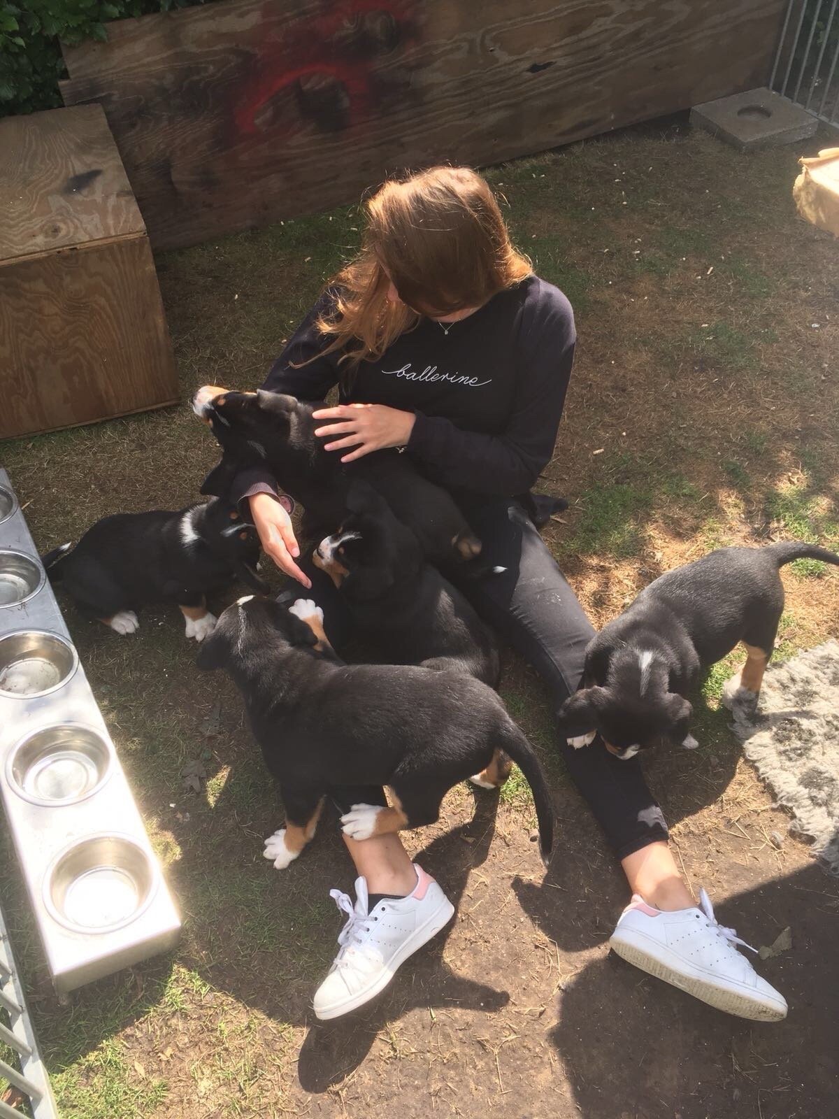 Freya, pet sitter in Amsterdam, photo 1