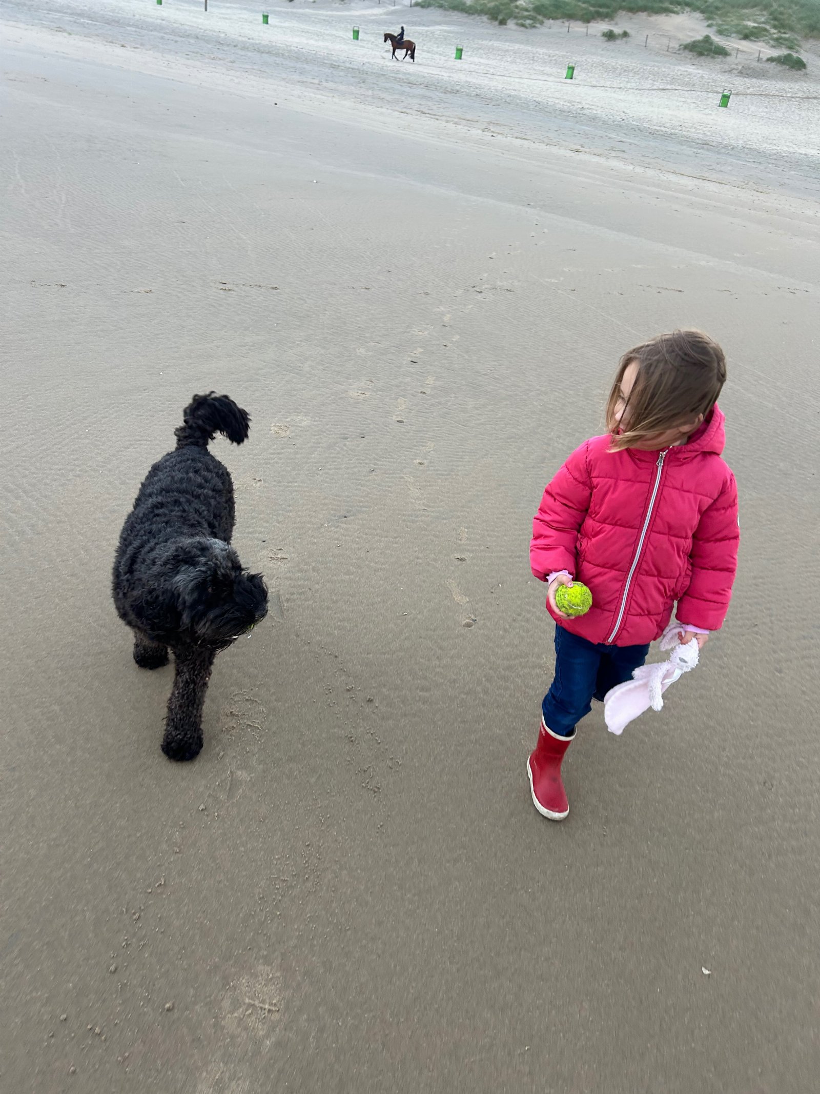 Babette, pet sitter in Heemstede, photo 3