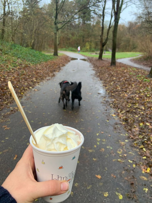 Dawn, pet sitter in 's-Gravenhage, photo 5
