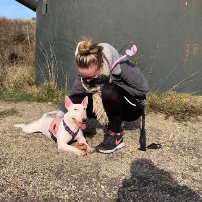 Cheyenne, pet sitter in Velserbroek, photo 3