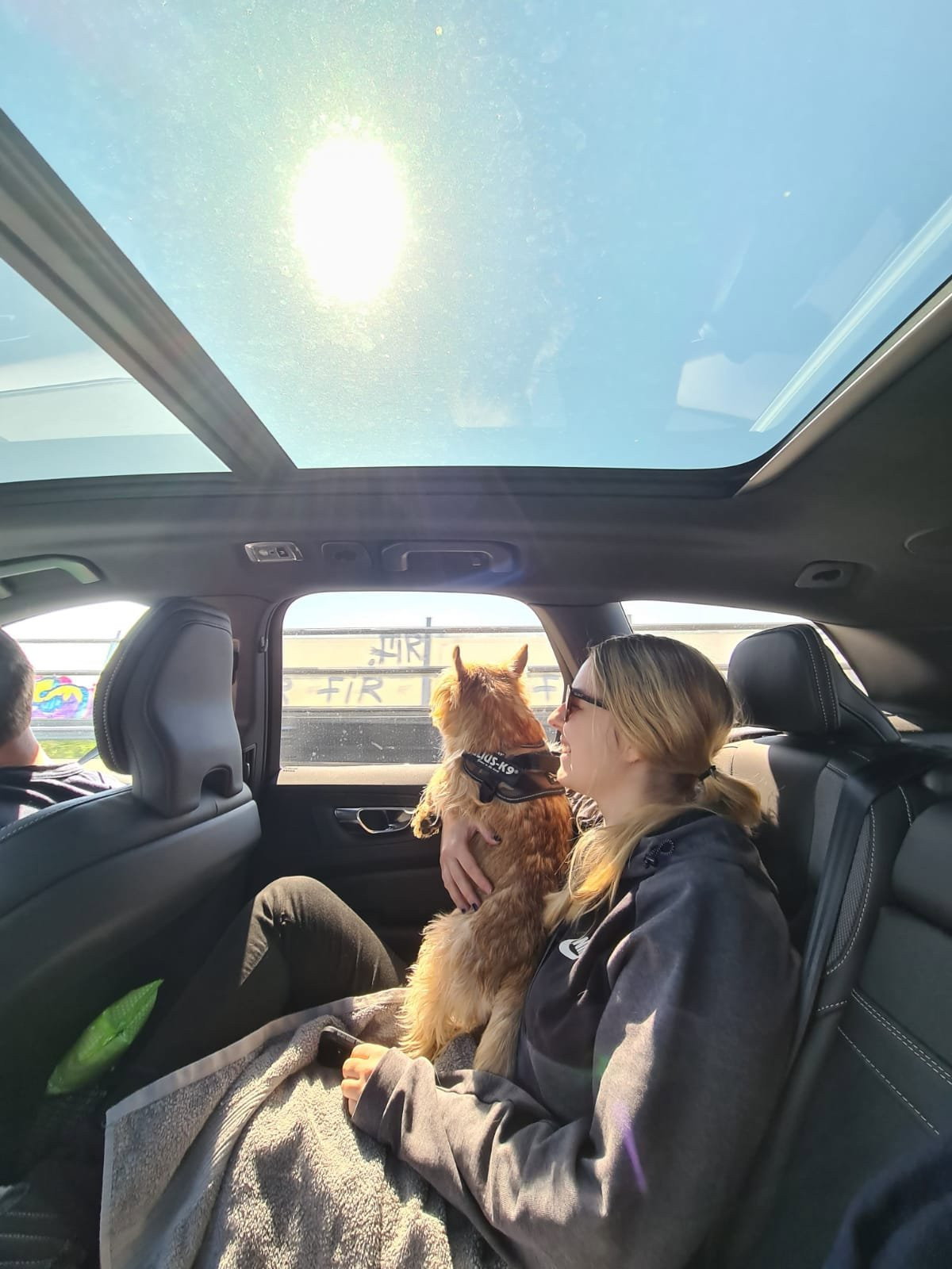 Victória, pet sitter in Amsterdam, photo 3